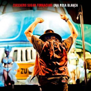 zucchero_una_rosa_blanca